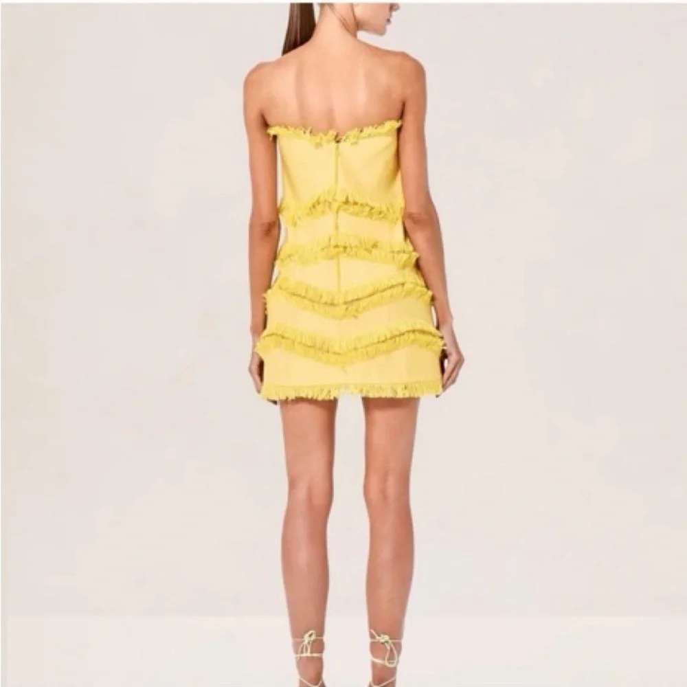 SOLD Alexis Fione Dress XS NWT - Picture 2 of 2